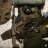 Military_raccoon